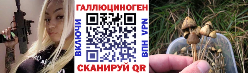 Купить закладки  Балаково  Псилоцибиновые грибы Cubensis 